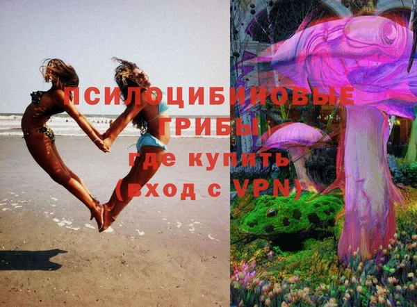 прущие грибы Абинск
