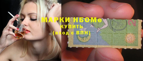 прущие грибы Абинск