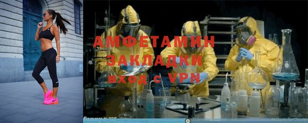 прущие грибы Абинск