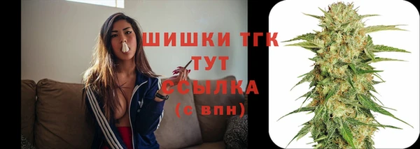 трава Абаза