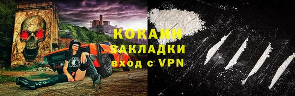 прущие грибы Абинск
