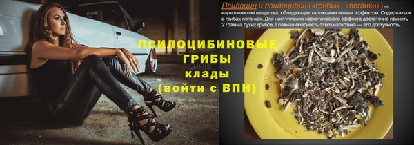 стаф Абдулино