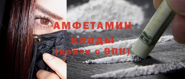 прущие грибы Абинск