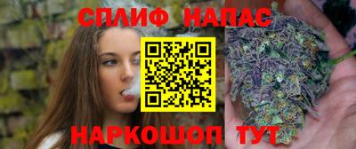 индика Ливны