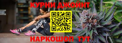 индика Ливны