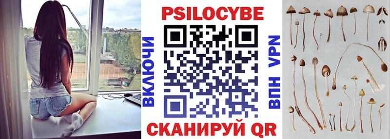 где купить   Каменка  Галлюциногенные грибы ЛСД 