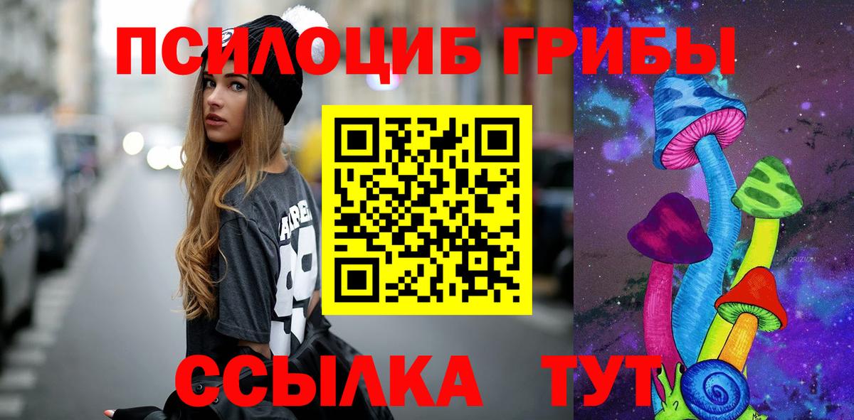 Галлюциногенные грибы ЛСД Каменка