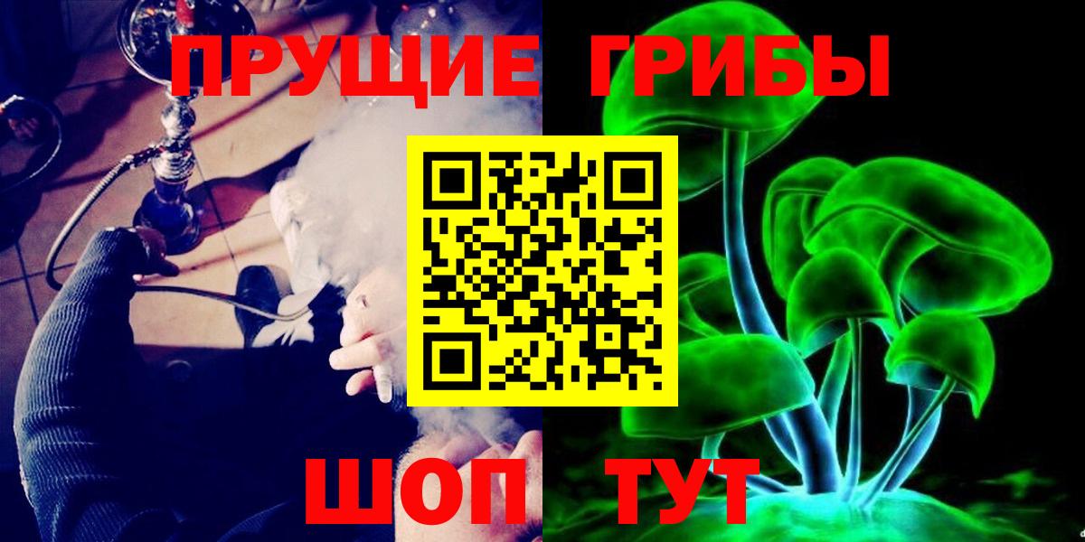 Галлюциногенные грибы Psilocybine cubensis  Псилоцибиновые грибы прущие грибы  Каменка  Вход с VPN 